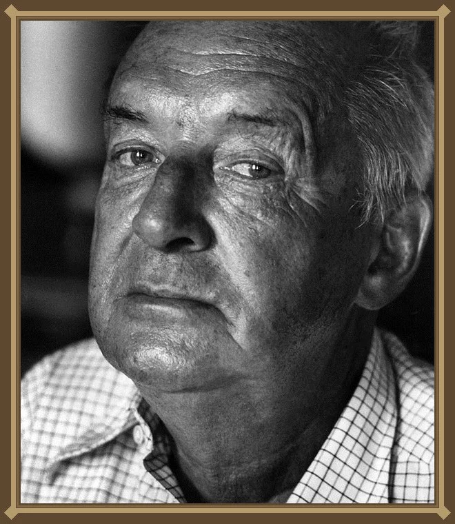 768-Vladimir_Nabokov_1973_frame4.webp