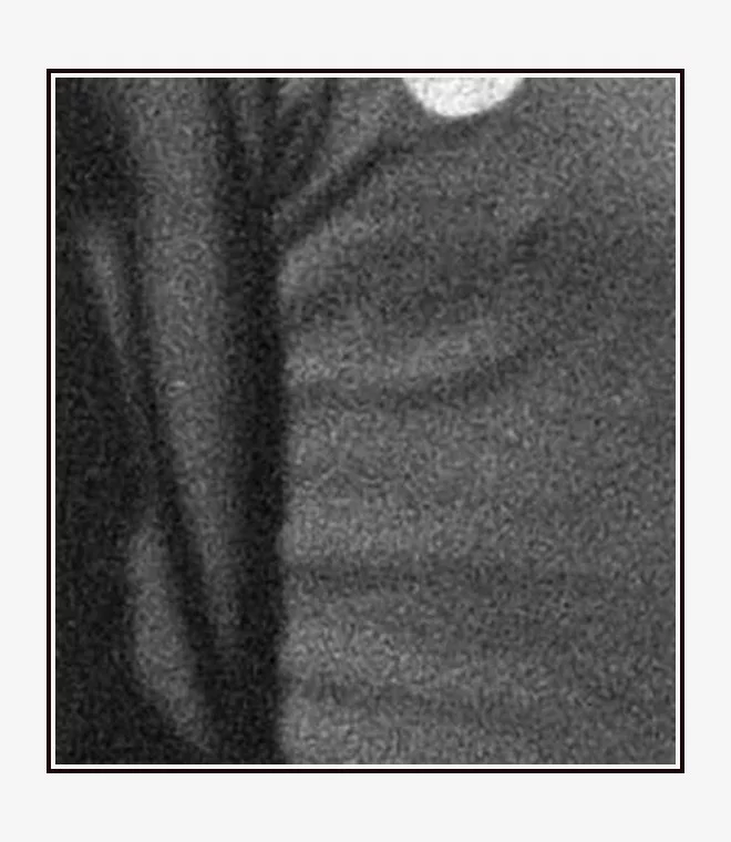 913-Albert_Shesternyov__1967__frame7.webp